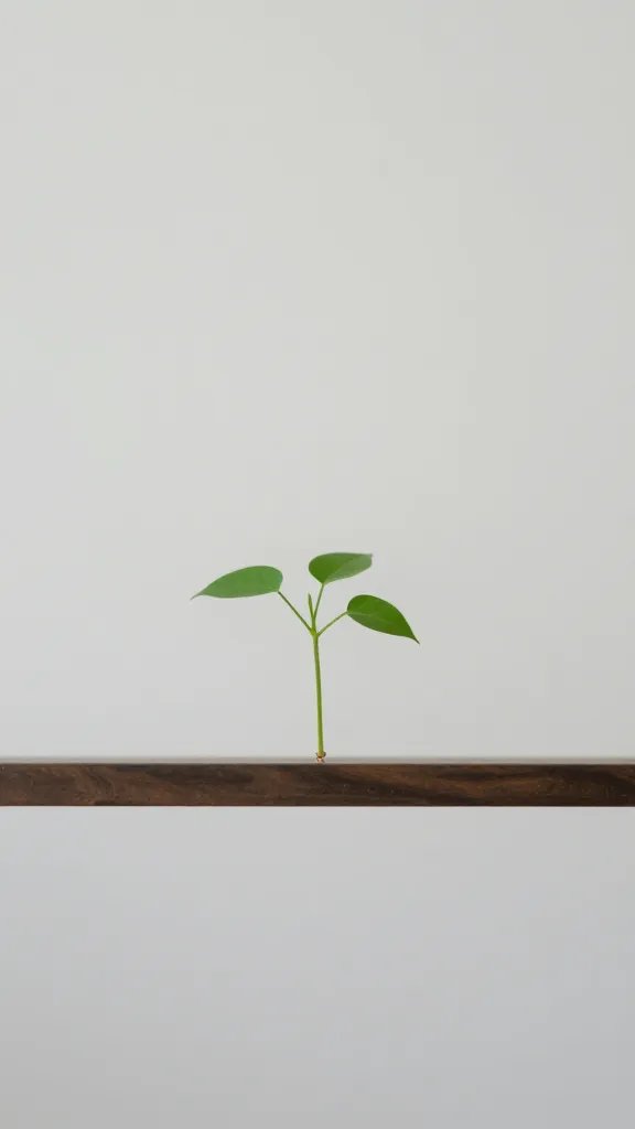 closeup of a lone plant on a thin picture ledge against plain wall
