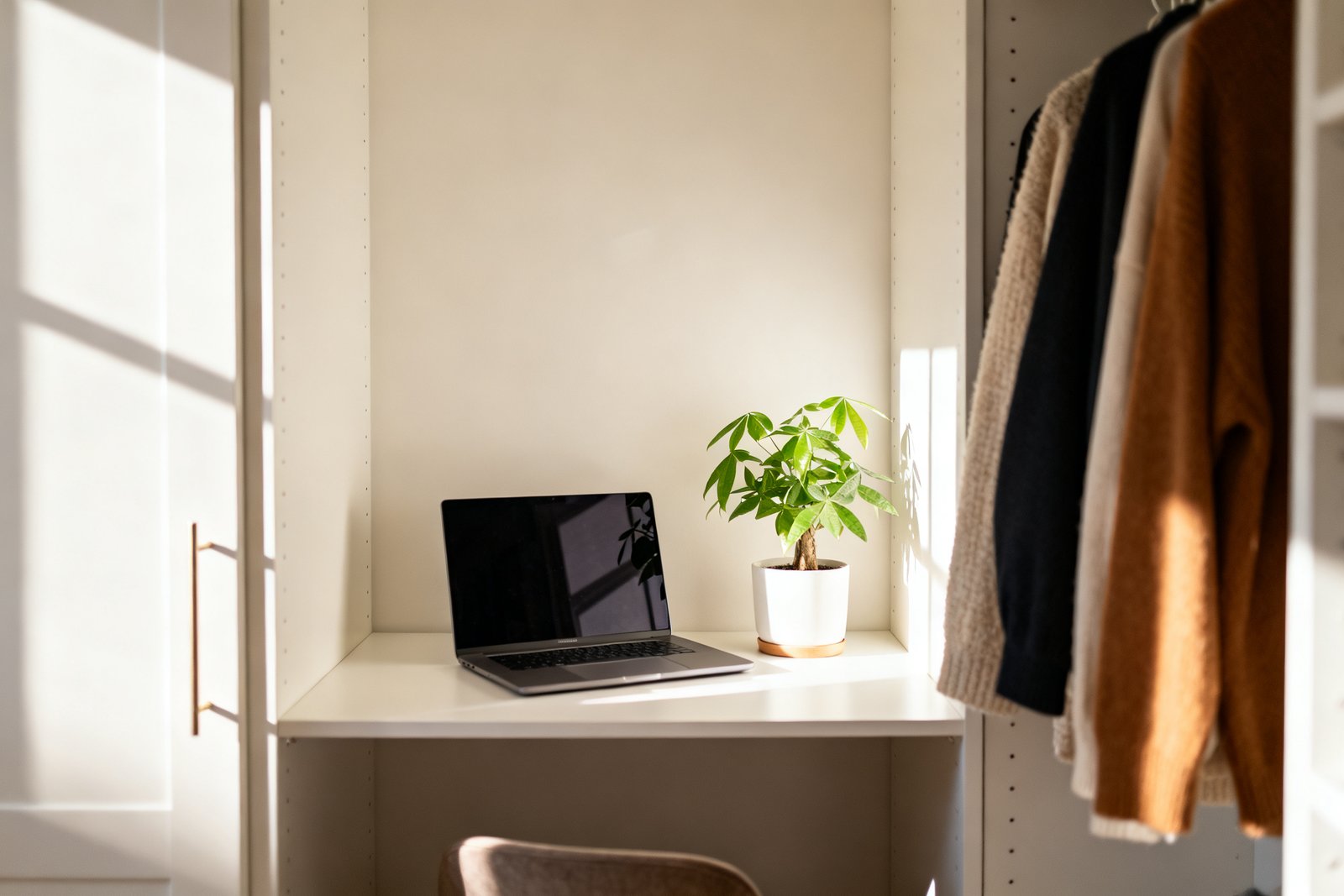 A tidy closet-office nook with a laptop and a plant